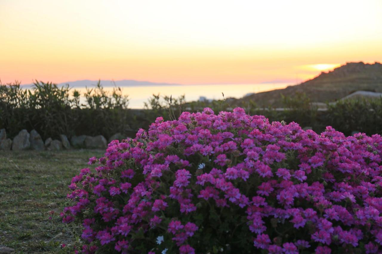 טורלוס Paradisia Villas מראה חיצוני תמונה